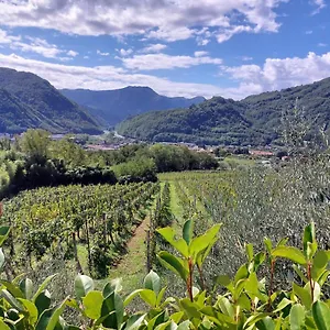 Agriturismo Tenuta La Fratta Bagni di Lucca